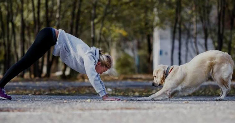 Köpeklerde Egzersiz İhtiyacı: Farklı Yaşlardaki Köpekler İçin Öneriler