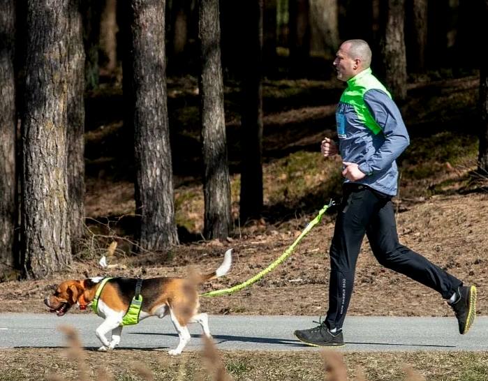Köpeklerde Egzersiz İhtiyacı: Farklı Yaşlardaki Köpekler İçin Öneriler