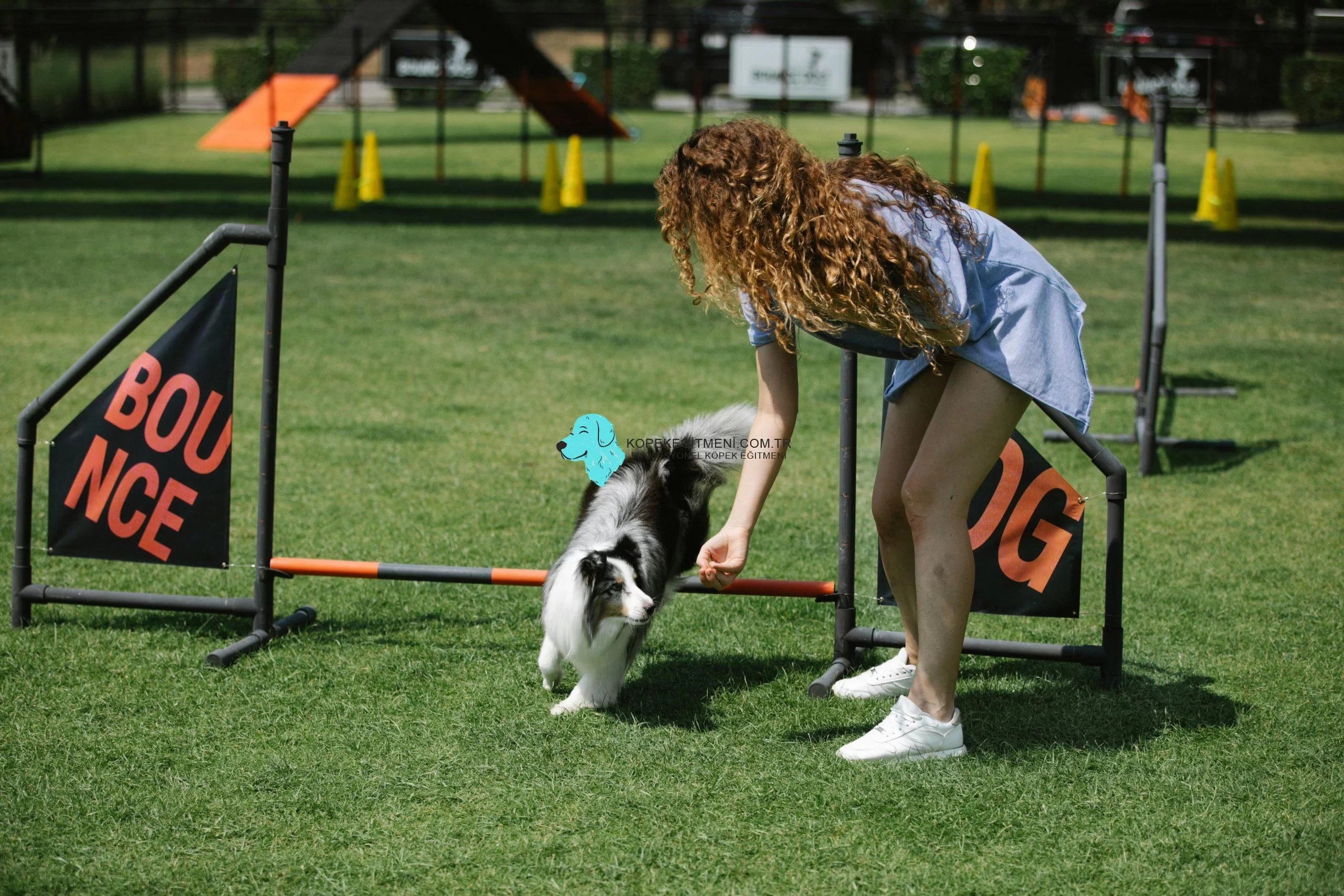 Köpeklerde Eğitim: Temel İtaat Komutlarını Öğretmek İçin Kolay Yöntemler