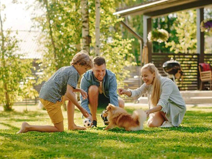 Köpeklerde Sosyalizasyon: Yeni Sahipler İçin İpuçları