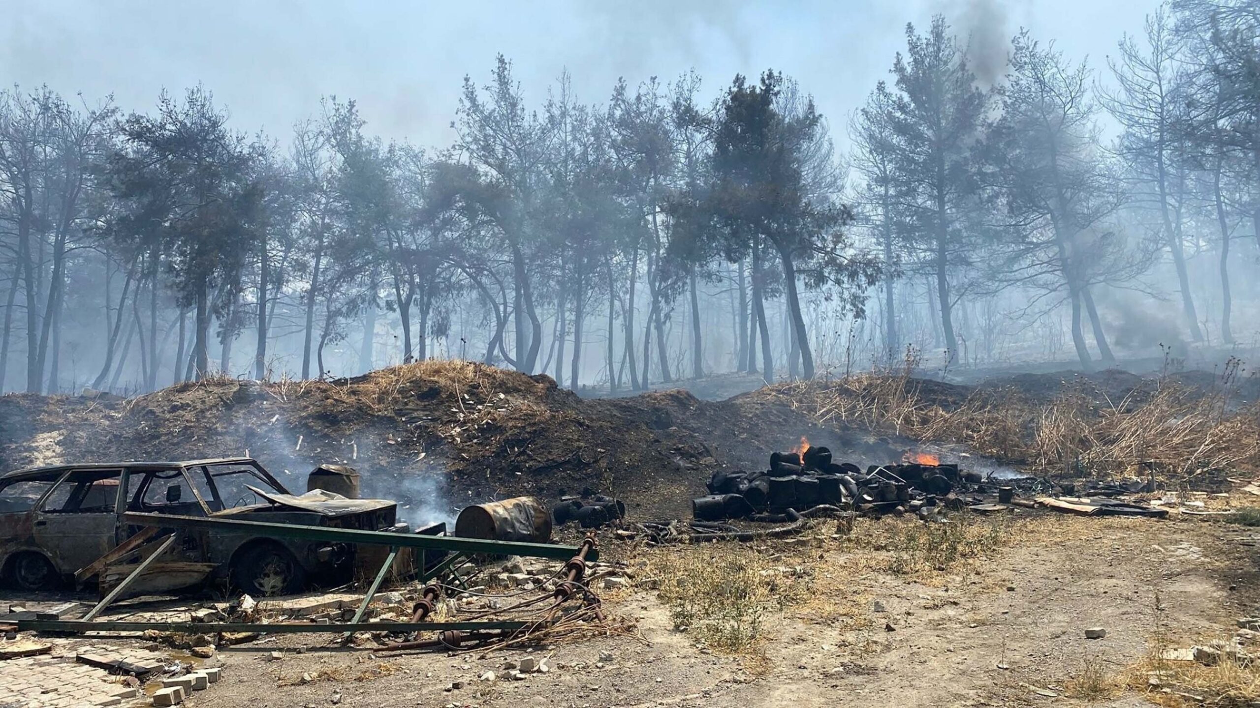 İzmir Bornova ve Buca’da orman yangını: Alevler otoyola sıçradı