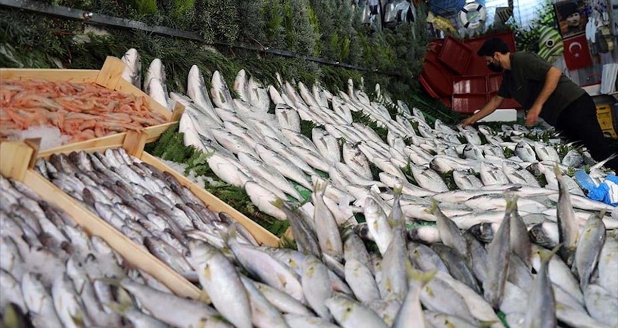 Uzmanlar Açıkladı: Türkiye'de Güvenle Tüketilebilecek Balık Türleri