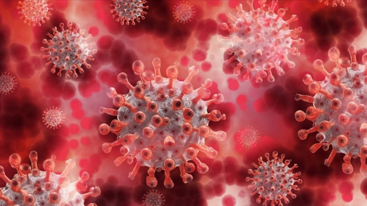 DSÖ Alarmı: Türkiye'de Maymun Çiçeği Vakası Seyahat Kaynaklı mı?