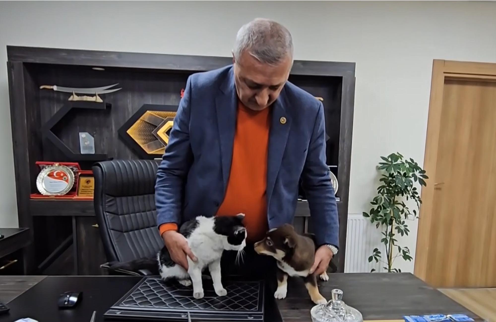 Göle Belediye Başkanı, Sokak Hayvanlarına Kucak Açtı: Mia ve Fındık’ın Sıcak Yuvası Oldu