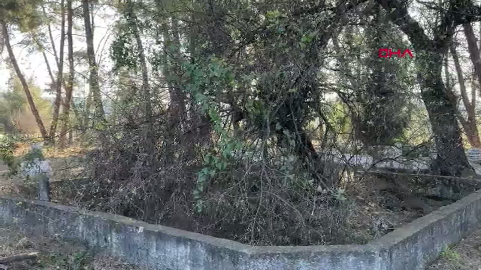 Muğla'daki İki Asırlık Adağı Taşının Kaybolması