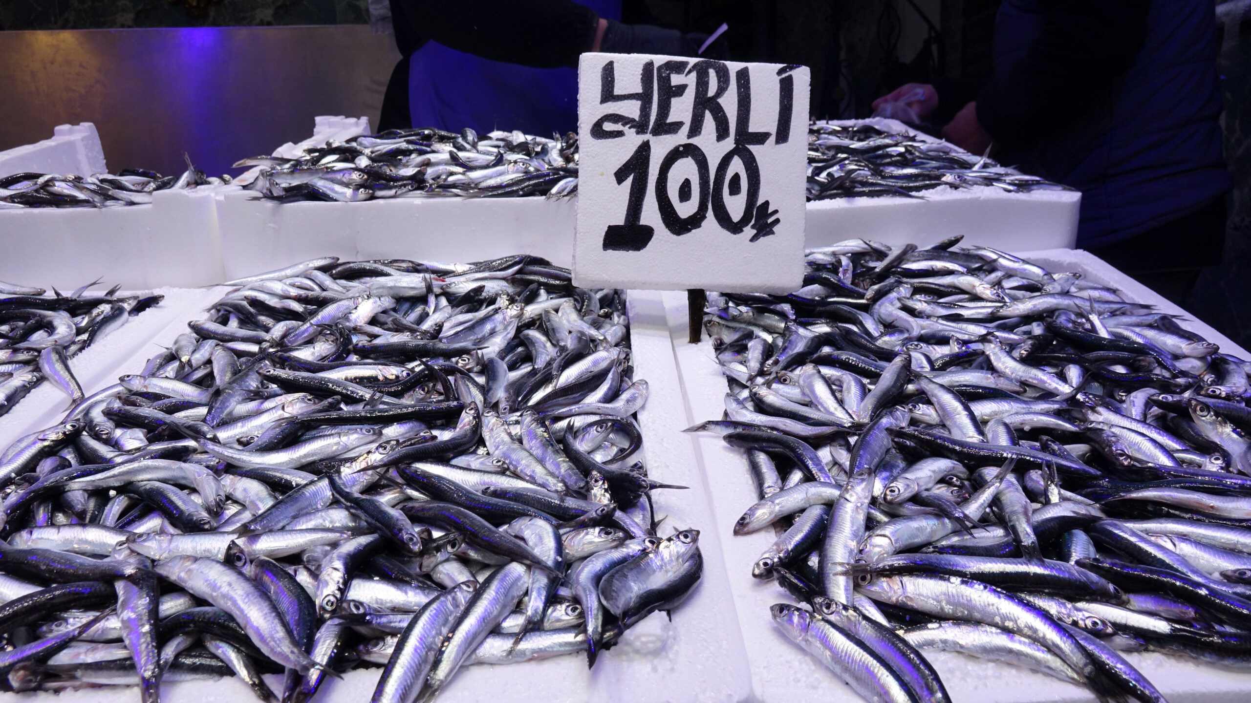 Ramazan'da Balık Tezgahlarında Hamsi ve İstavrit Bereketi
