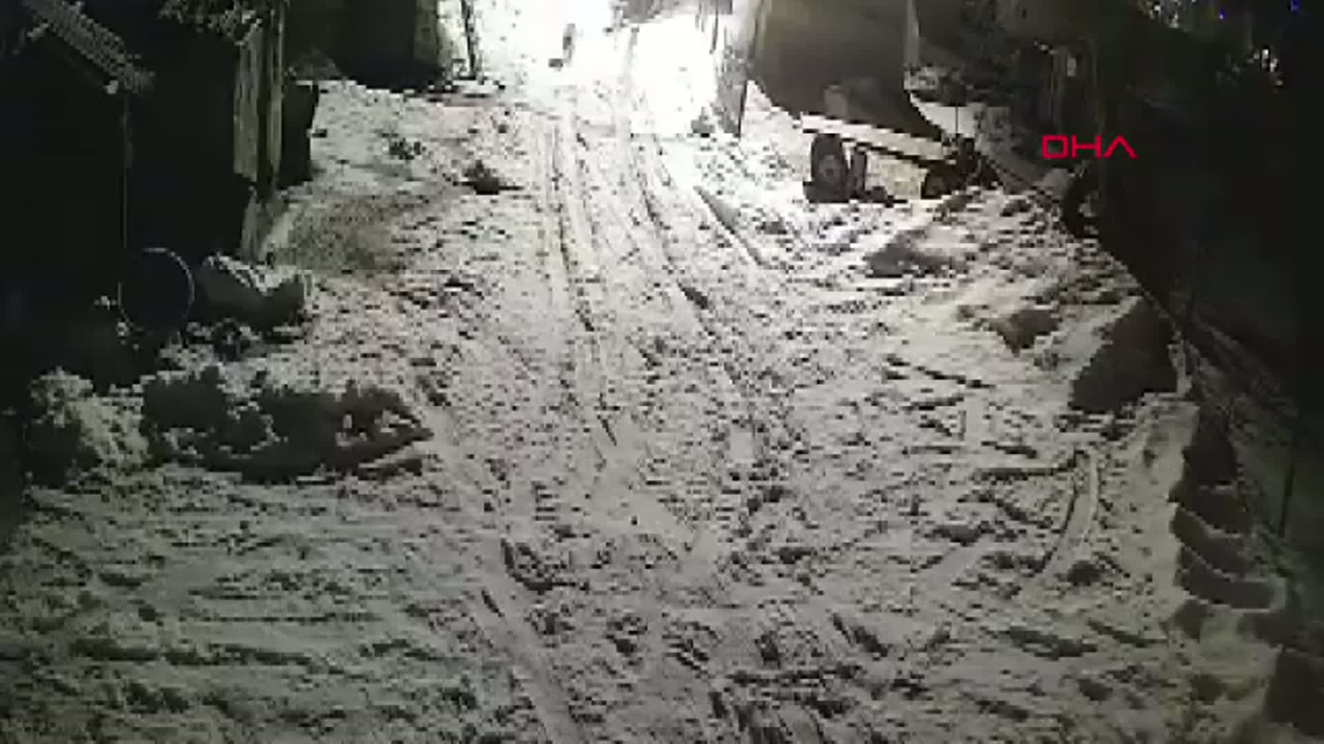 Kars'ta Kurtlar Köpeği Kaçırdı