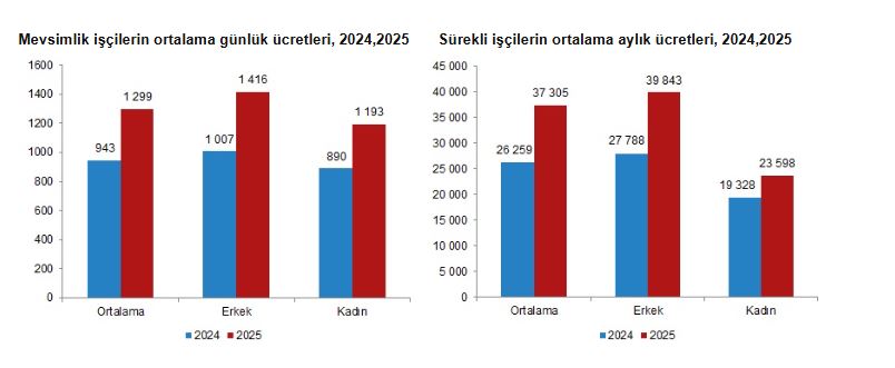 TÜİK: Mevsimlik Tarım İşçilerinin Ücretleri 2025'te Yüzde 37,8 Artış Gösterdi