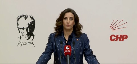 CHP'li Evrim Rızvanoğlu: Ormanlar Kalem Darbesiyle Yok Edilemez