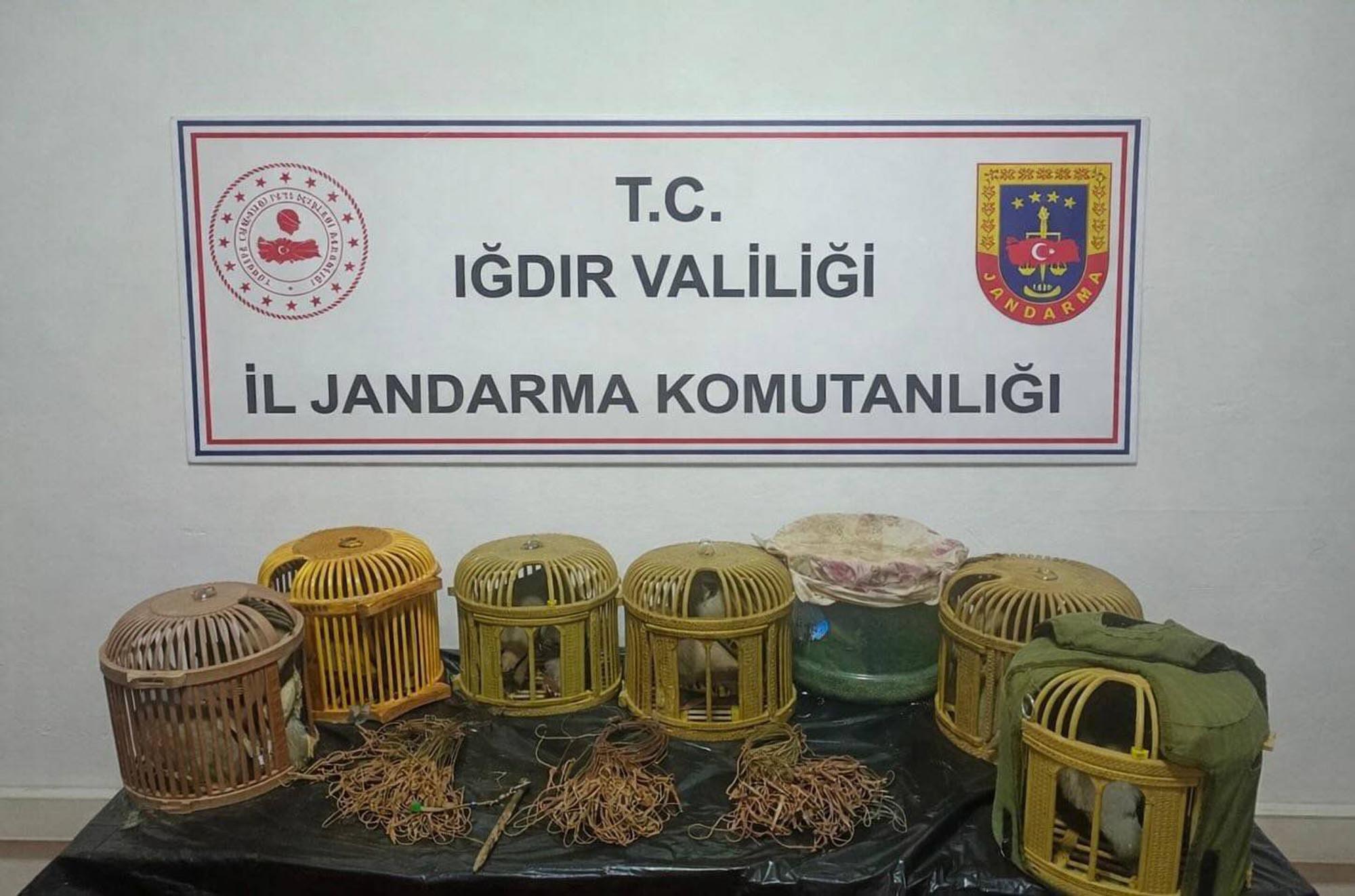 Iğdır'da Kaçak Keklik Avcılarına Büyük Ceza