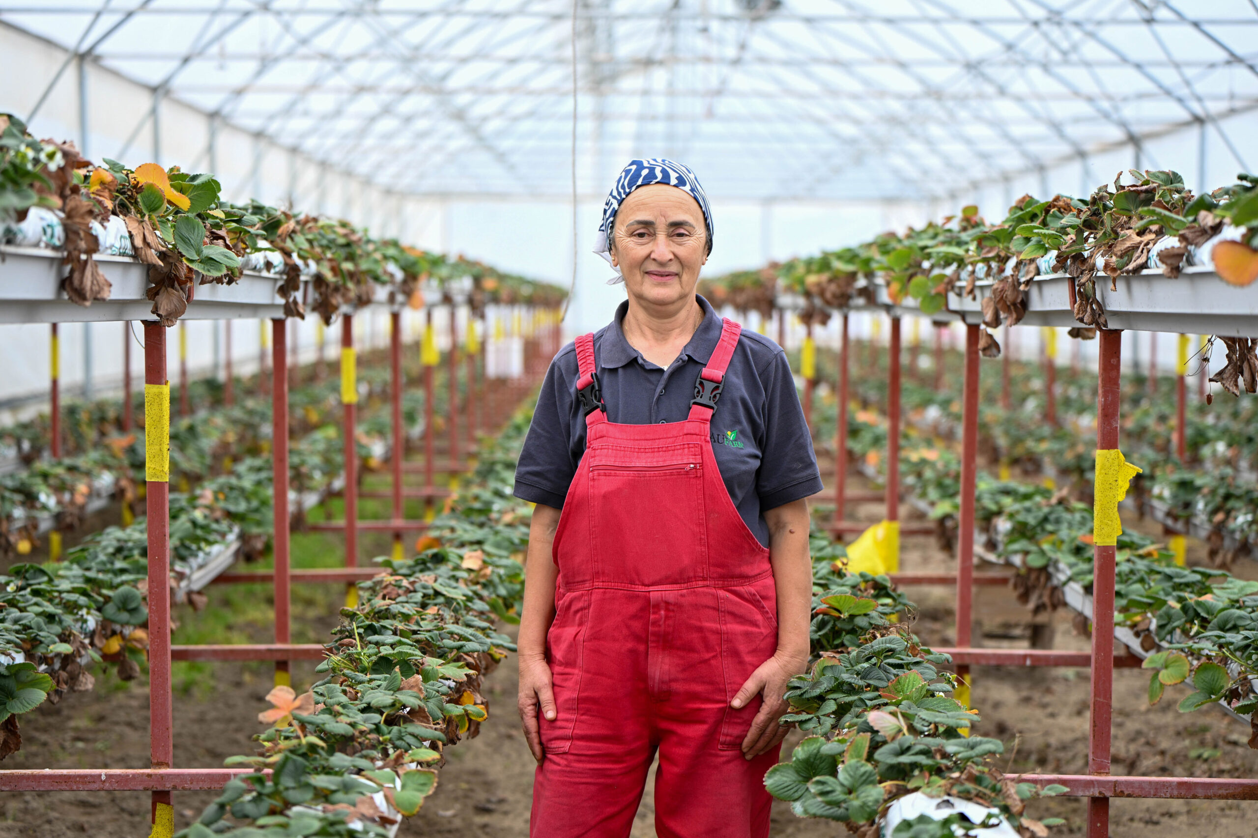 BAU Farm'da Kadınların Üretim Gücü