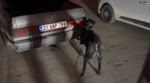 Hatay'da Uyuşturucu Operasyonu: 3 Kişi Tutuklandı