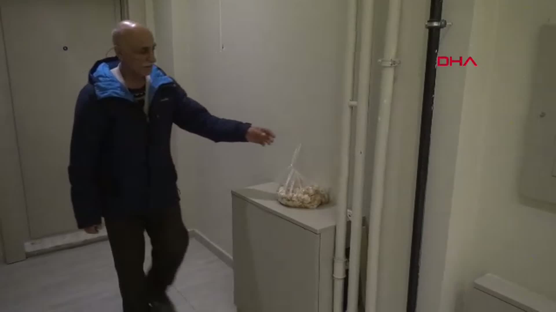 Erzurum'da 'Allah'ın Misafiri' Kuşlar, Apartman Görevlilerinin Yardımıyla Besleniyor