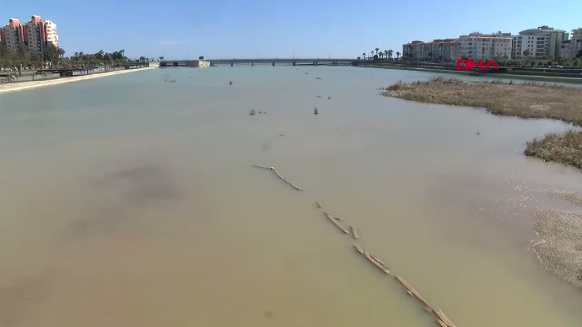 Antalya'da Misina ile Mahsur Kalan Martı Kurtarıldı