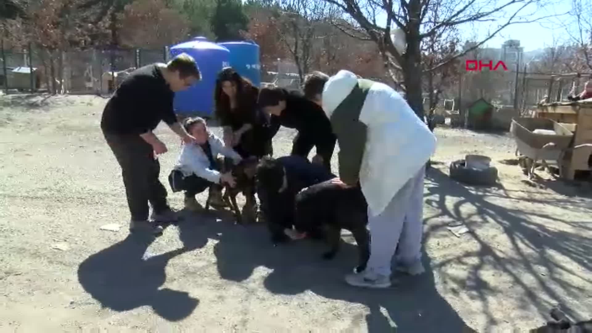 İşitme Engelli Öğrencilerden Engelli Köpekler İçin Duyarlı Kampanya