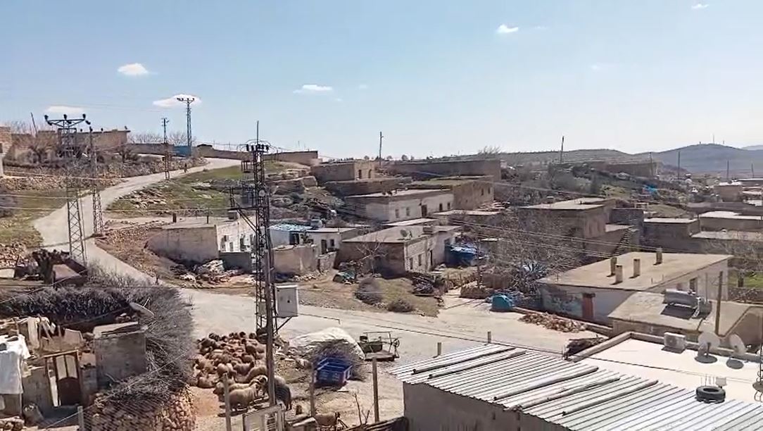 Mardin'de Kuduz Şüphesi: Kaynakkaya Mahallesi Karantinaya Alındı
