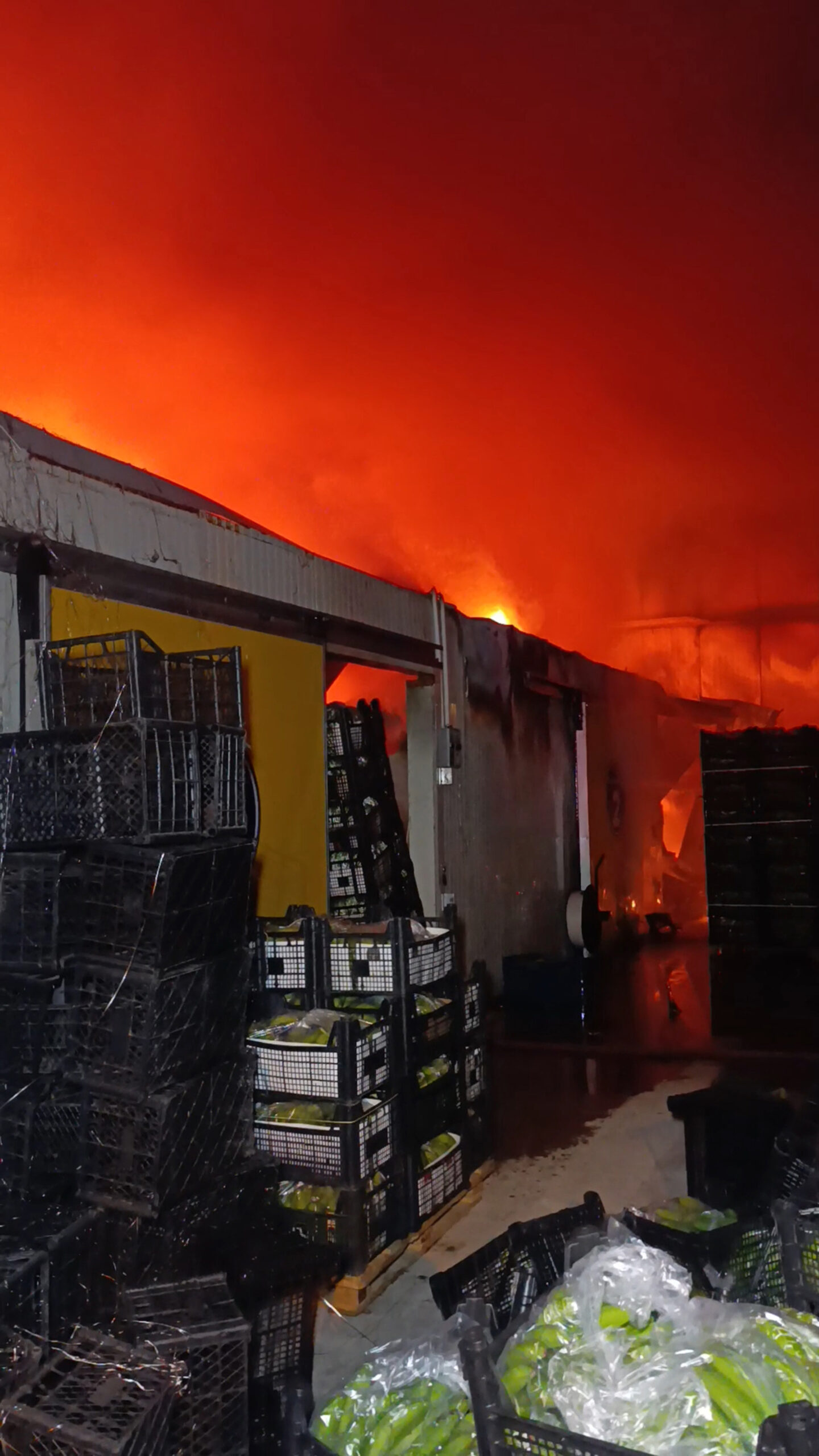 Antalya'da Muz Paketleme Tesisinde Yangın Faciası