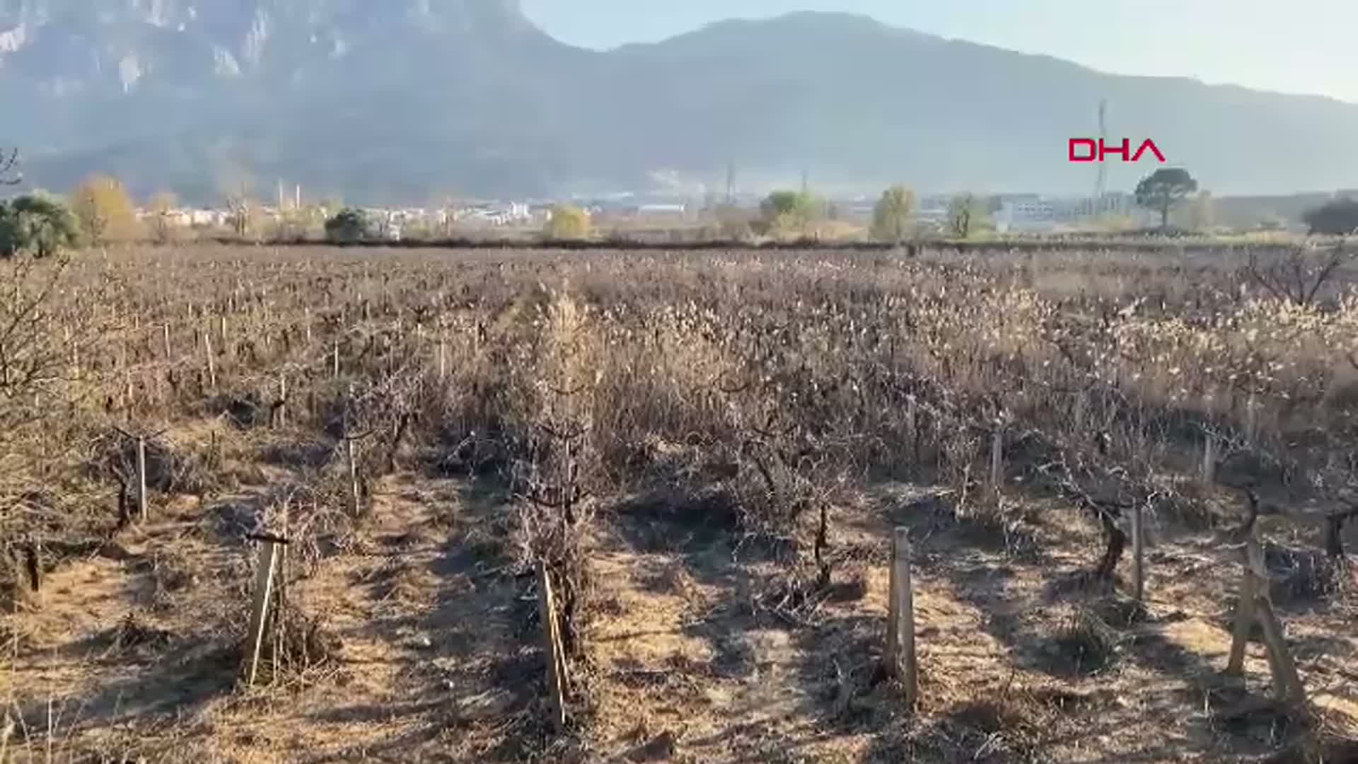 Gediz Ovası Taşkın Sonrası Normale Döndü