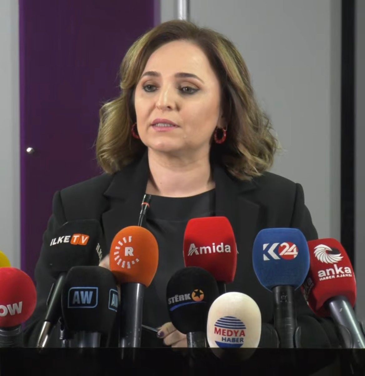 DEM Parti Sözcüsü Ayşegül Doğan: 'Yasal Düzenlemeleri Beklemeden Adımlar Atabiliriz'