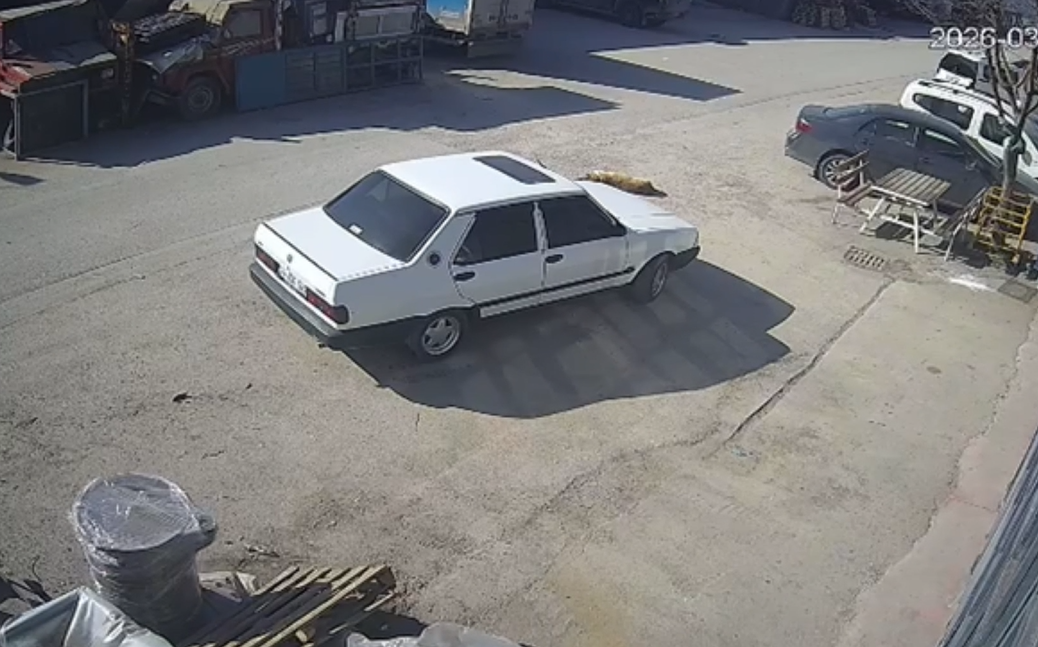 Bolu'da Şaşırtan Olay: Yerde Yatan Köpek Otomobilin Altında Kaldı