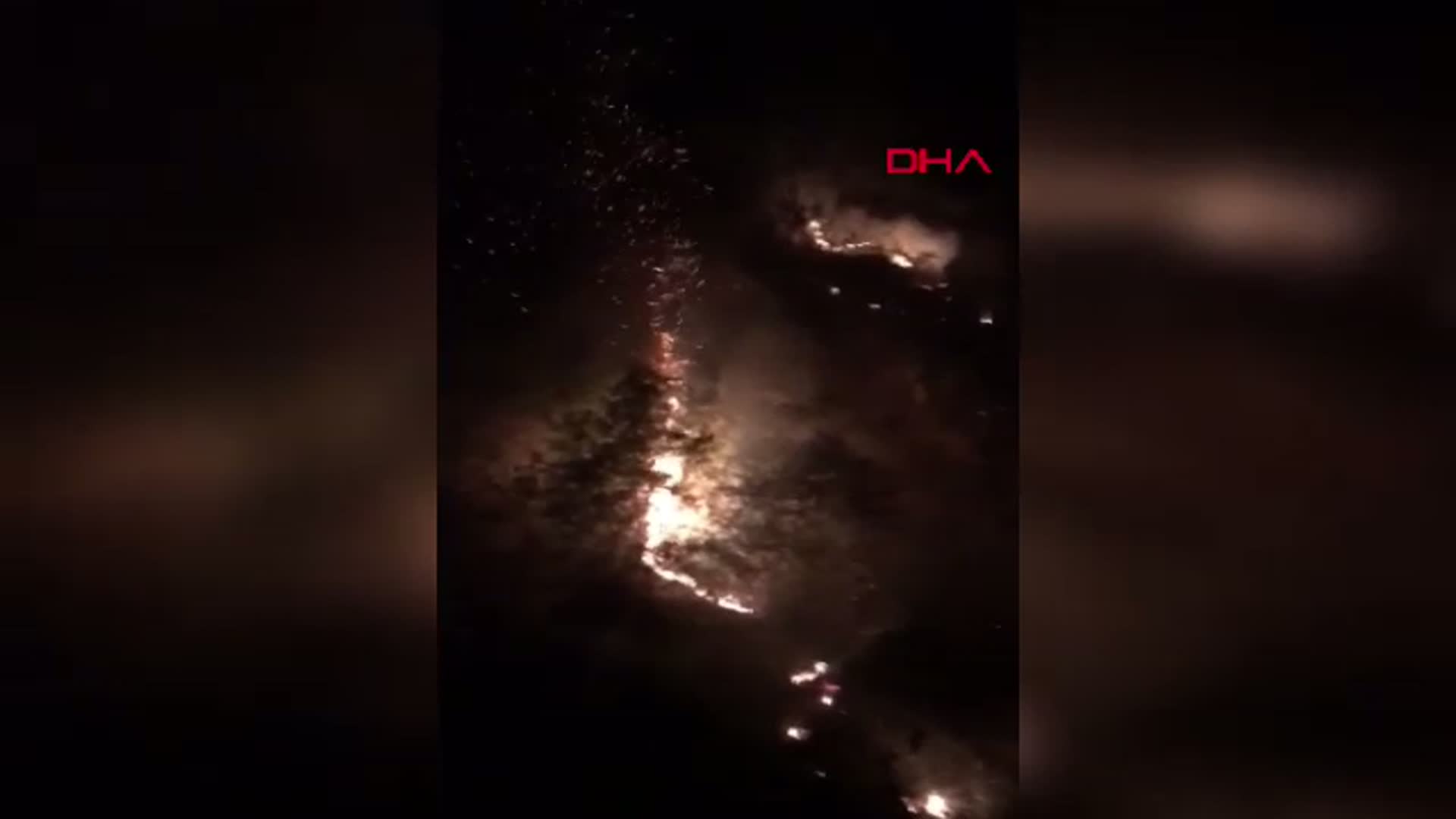 Antalya'daki Orman Yangını Hızla Söndürüldü