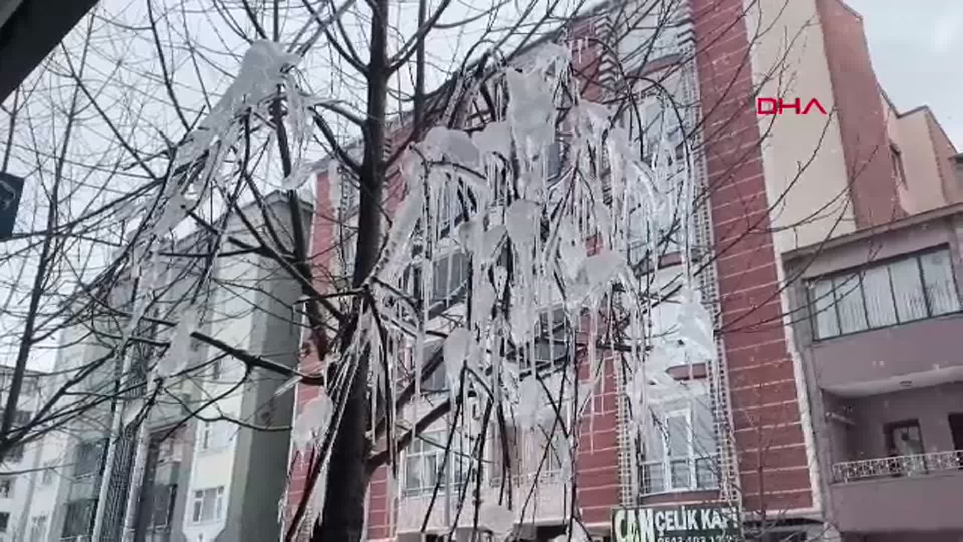 Kars'ta Ağaç Dalları Buz Kapladı
