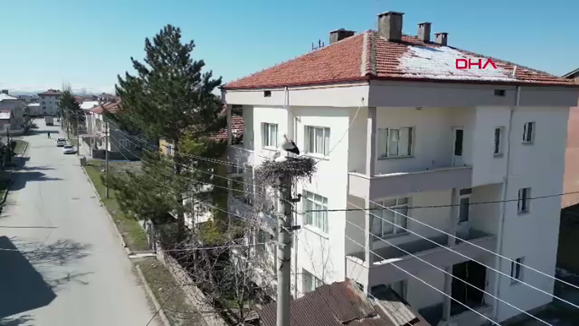 Leyleklerin 40 Yıllık Yuvası Yenilendi