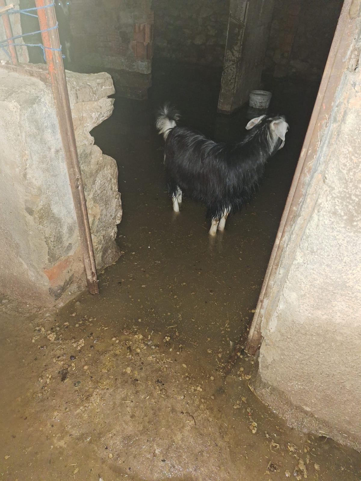 Bingöl’de Şiddetli Yağışlar Su Baskınlarına Sebep Oldu!