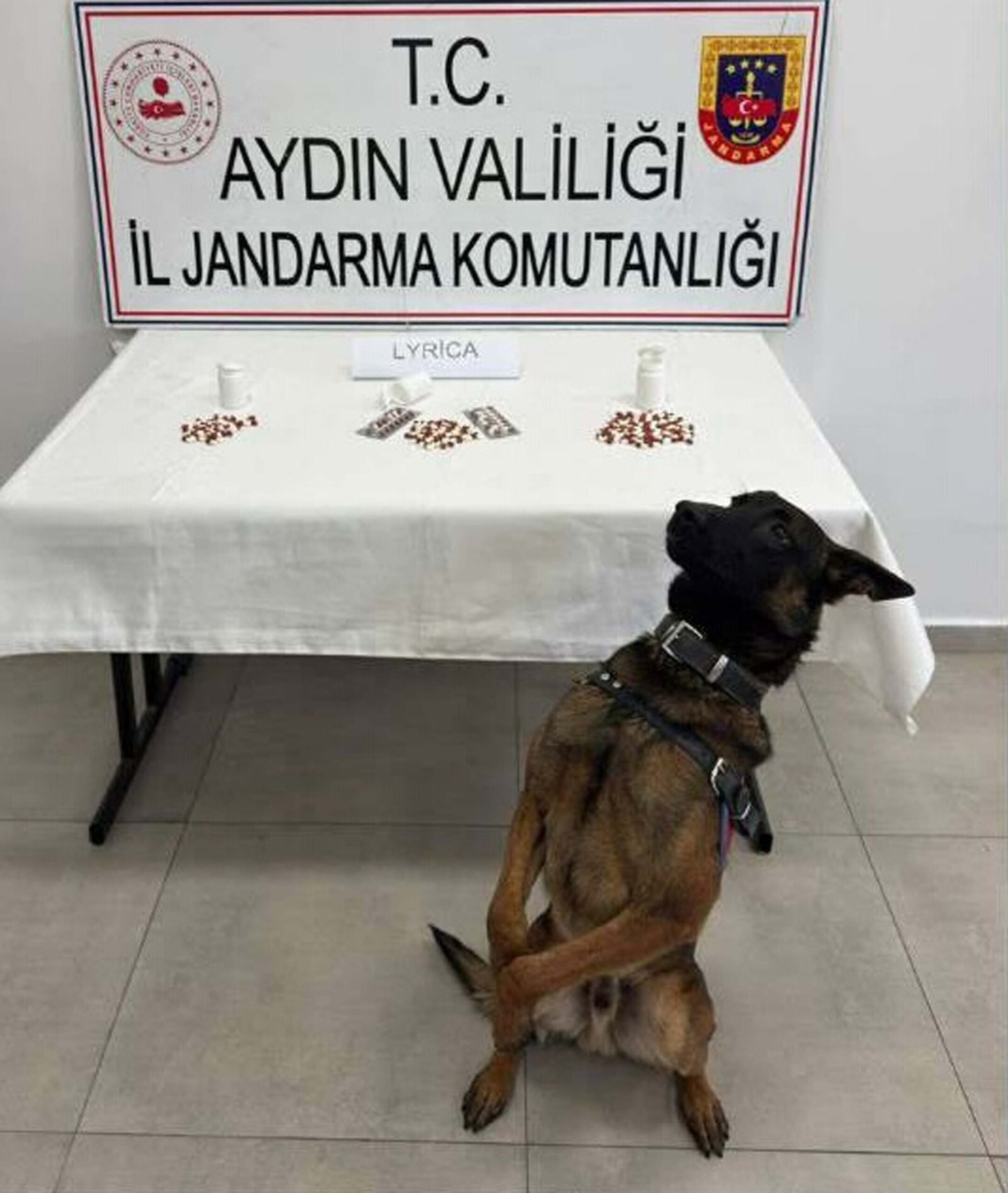 Aydın'da Uyuşturucu Operasyonu: 10 Kişi Tutuklandı