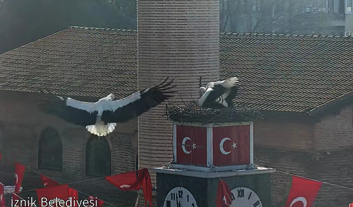 İznik'te Can ve Canan Leyleklerinin 2. Yılı Coşkuyla Kutlandı
