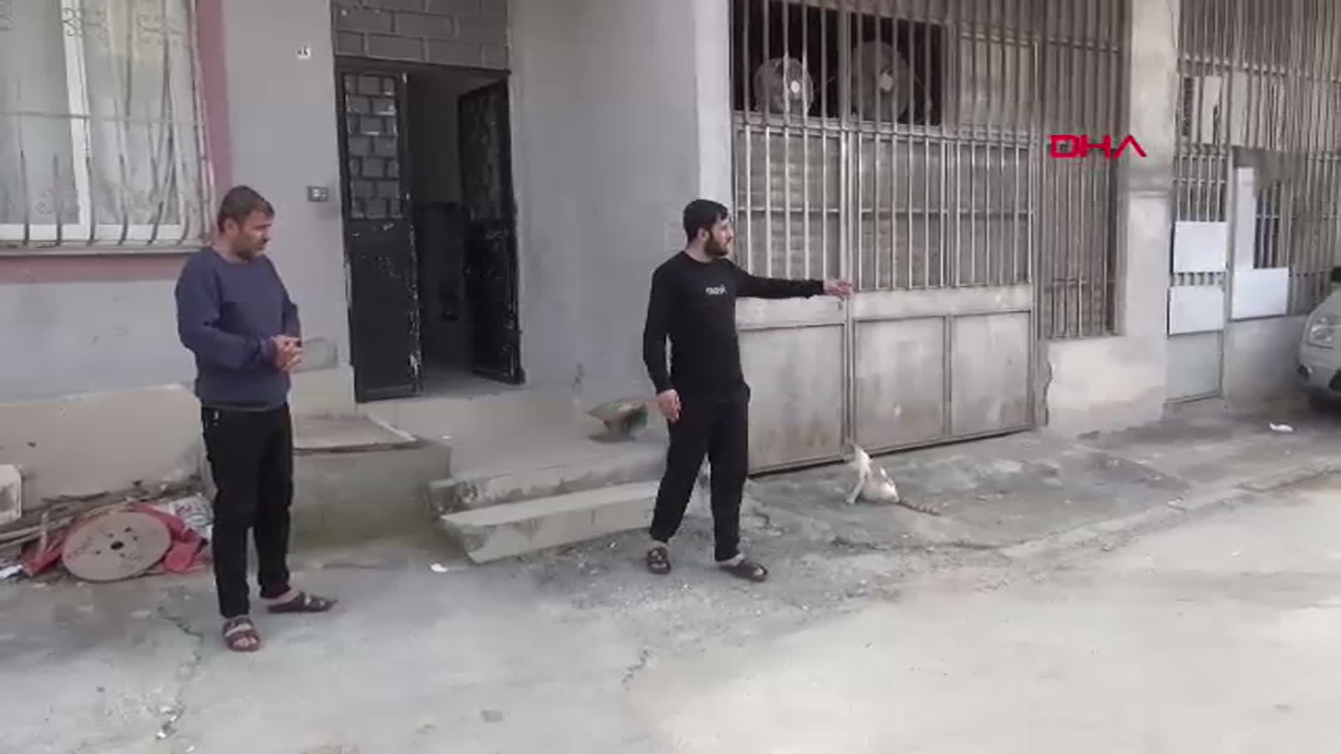 Mersin'de Çatışmada Hayatını Kaybeden Anne İçin Adalet Arayışı