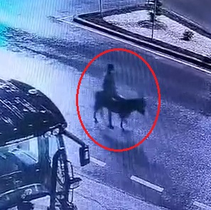 Kayseri'de Kuyumcudan Eşekle Kaçan Hırsız İçin 16 Yıl Hapis İstemi