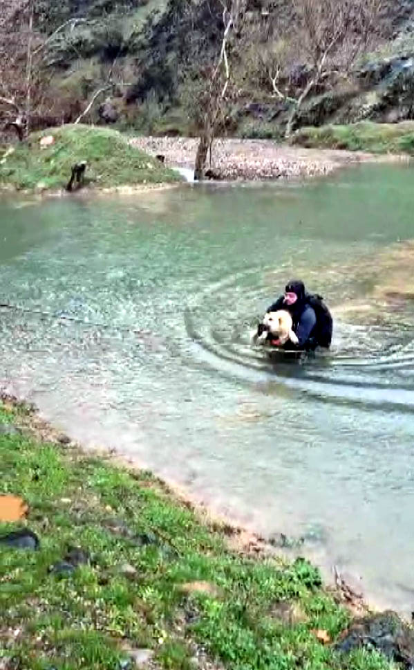 Kahramanmaraş'ta Suyla Çevrili Alanda Mahsur Kalan Köpek Kurtarıldı