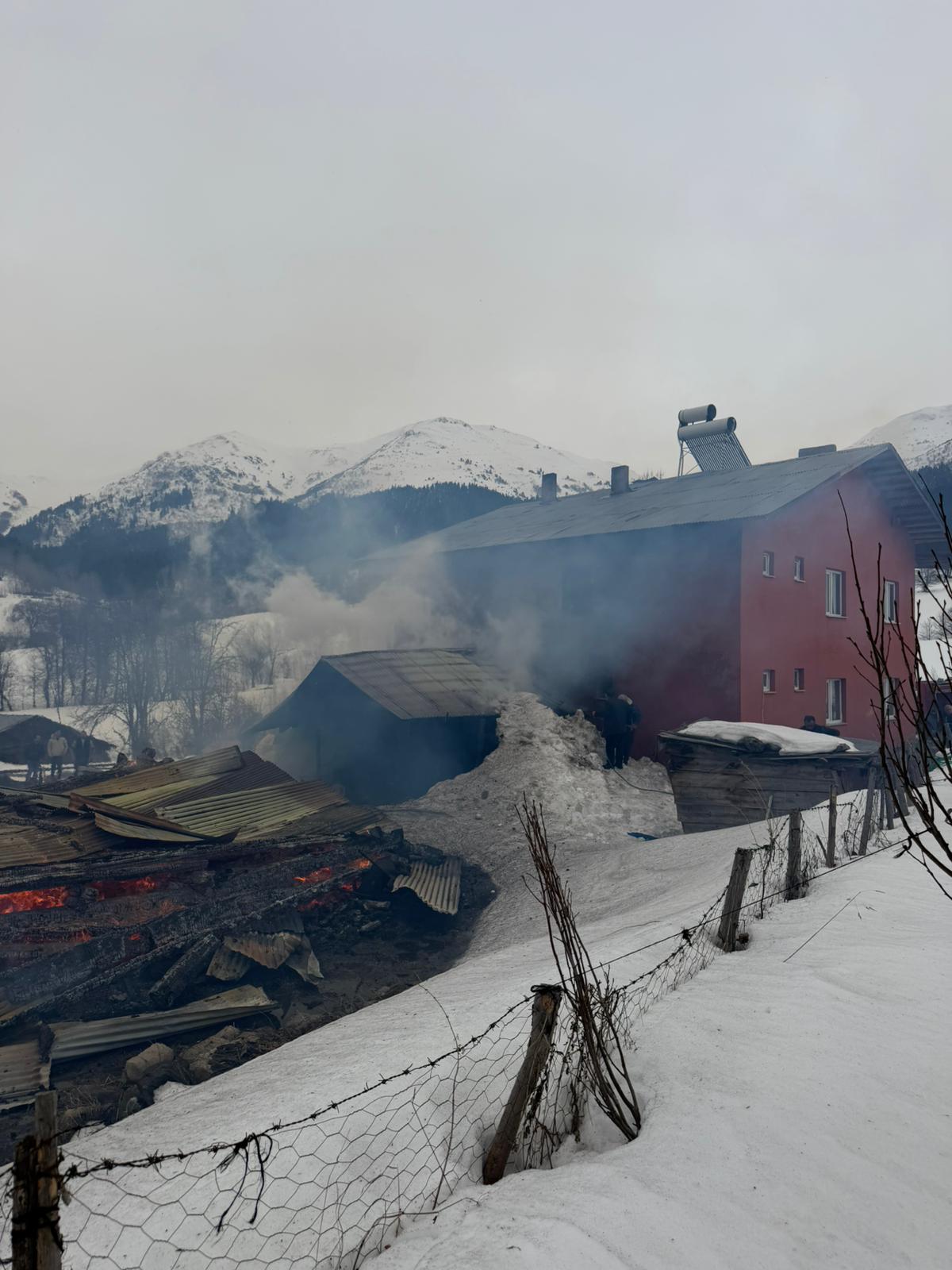 Artvin Şavşat'ta Yangın Felaketi: 1 Ev, 2 Ahır ve 1 Ambar Yandı