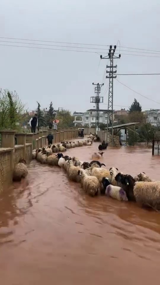 Hatay'da Şiddetli Yağışlar Günlük Yaşama Zarar Verdi
