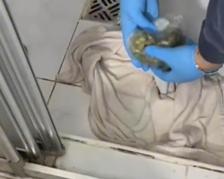 Maltepe’de Uyuşturucu Operasyonu: 800 Gram Madde ve 1 Tutuklama