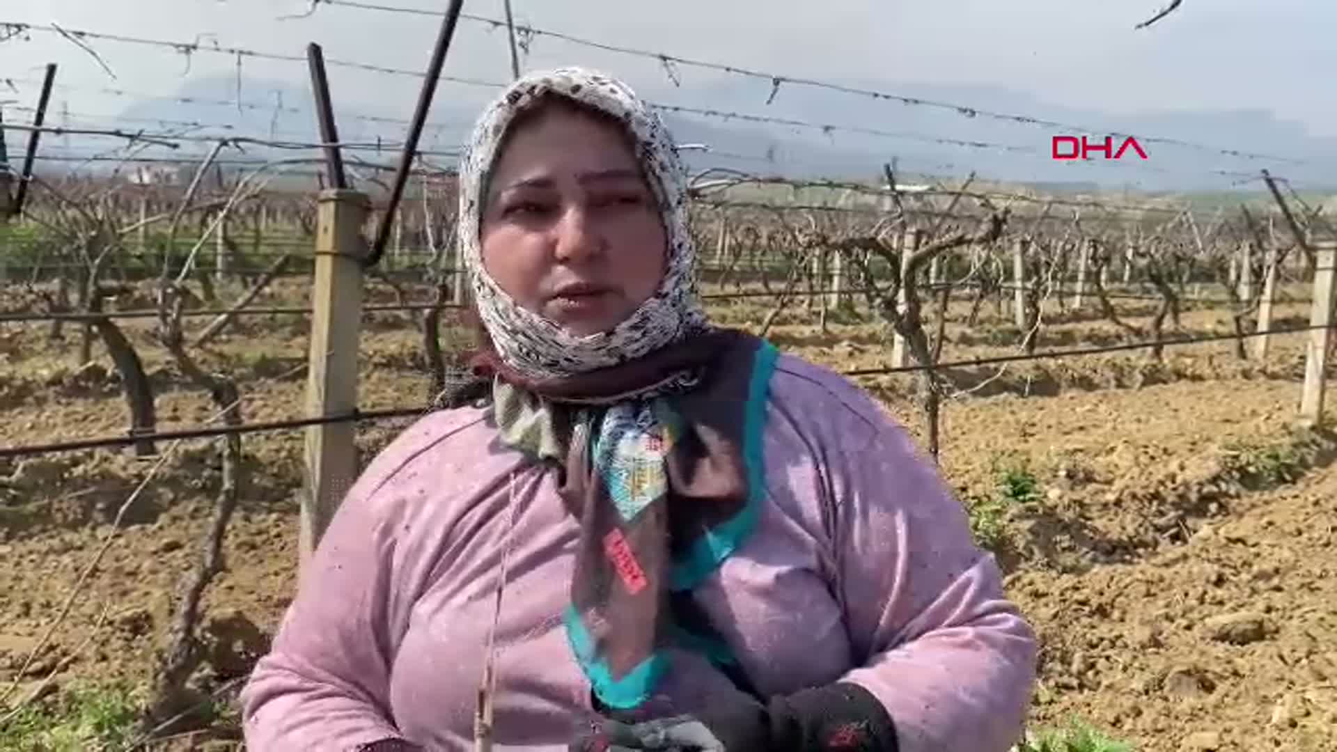 Manisa Barajlarındaki Doluluk Oranı Yüzde 75'e Ulaştı