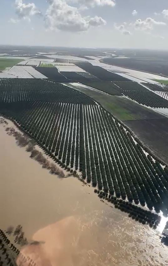 Adana'da Tarım Arazileri Su Altında Kaldı: Üreticiler Yeniden Ekim Yapmak Zorunda