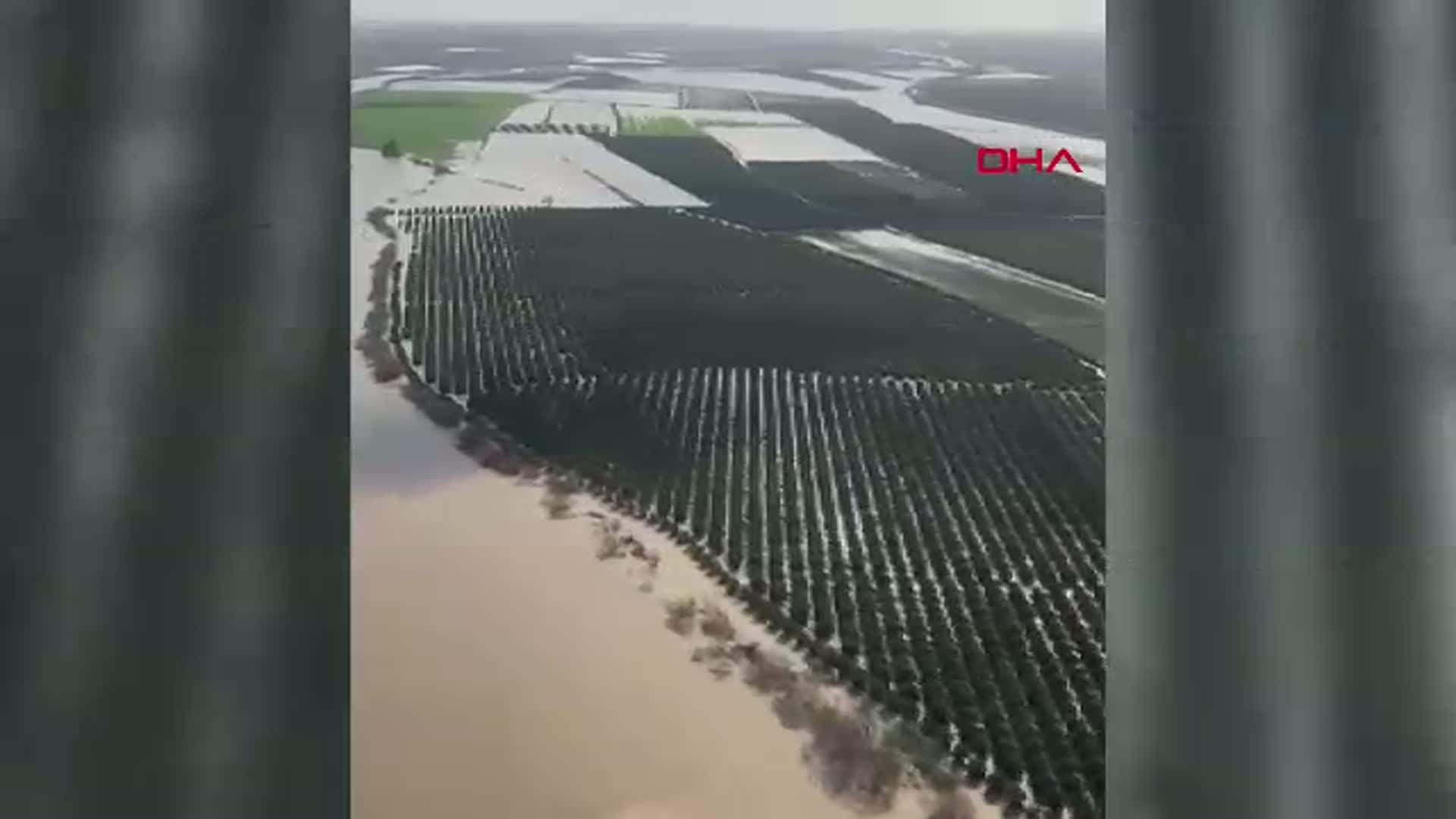 Adana'daki Tarım Arazileri Su Altında Kaldı: Üreticiler Yeniden Ekim Yapacak