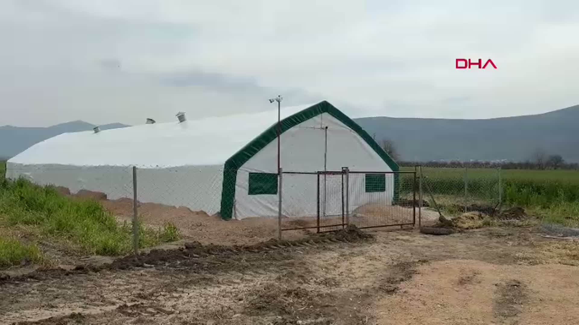 Muğla'da Genç Girişimci, Hayalindeki Tavuk Çiftliğini Kurdu