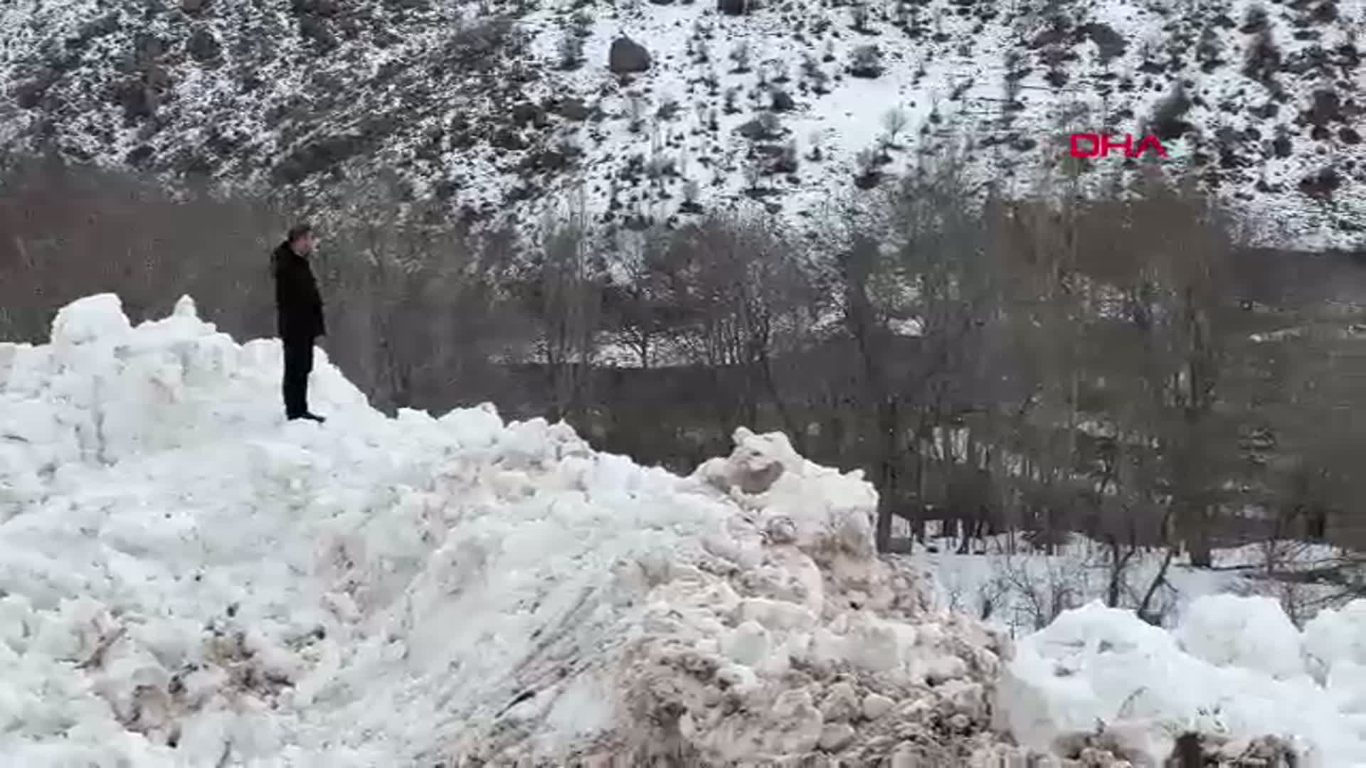 Yüksekova'da Yeşiltaş Köyü'ne Düşen Çığ Korku Yarattı