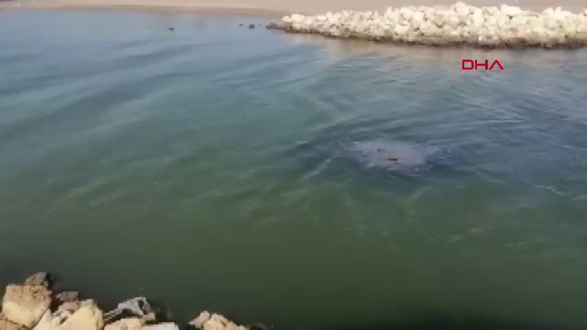 Antalya'da Kaçak Yapılara Yıkım Süreci Başladı: Lağımlar Nehri ve Denizi Tehdit Ediyor
