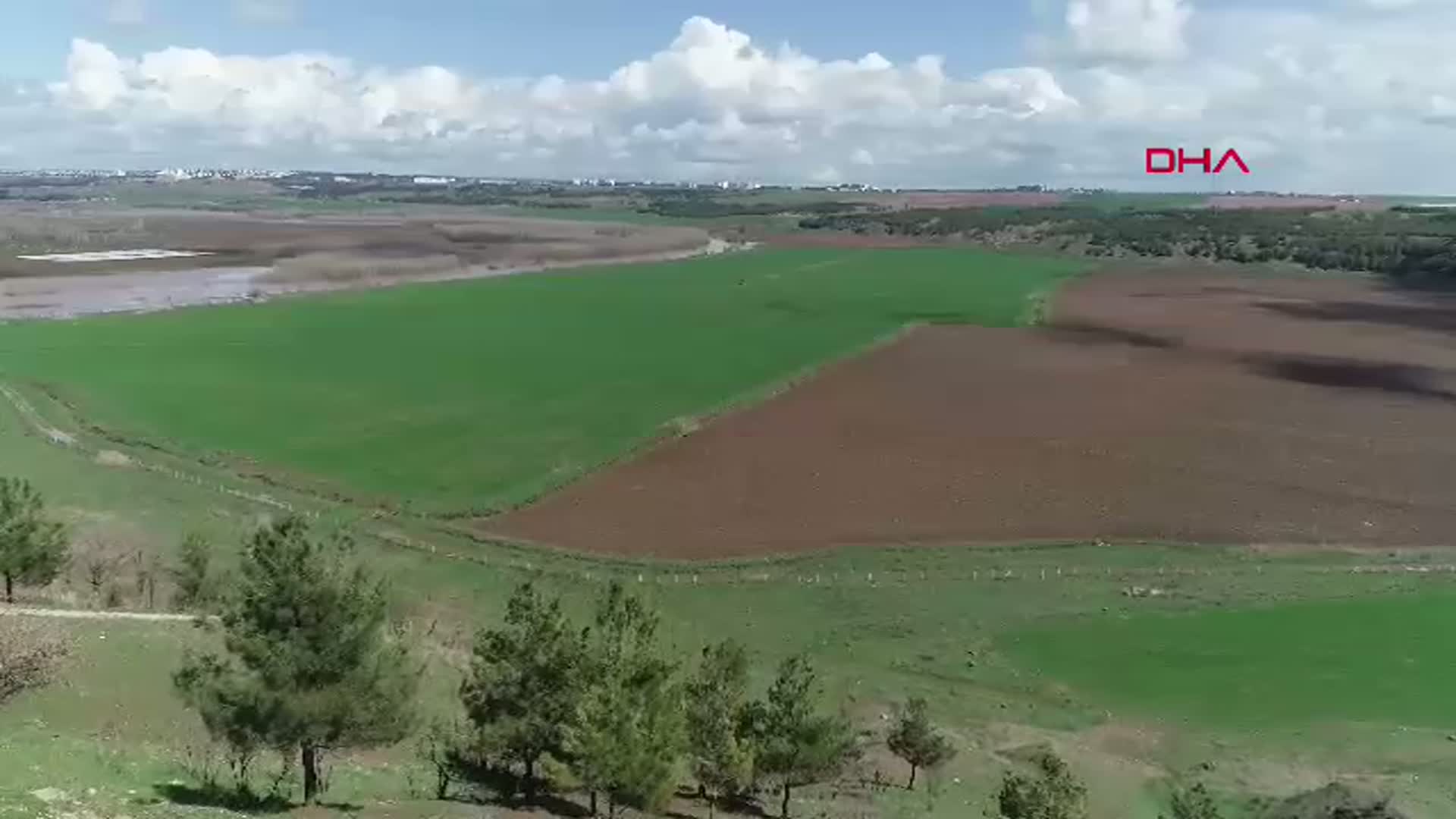 Diyarbakır'da Sağanak Yağışlar Çiftçiyi Sevindiriyor