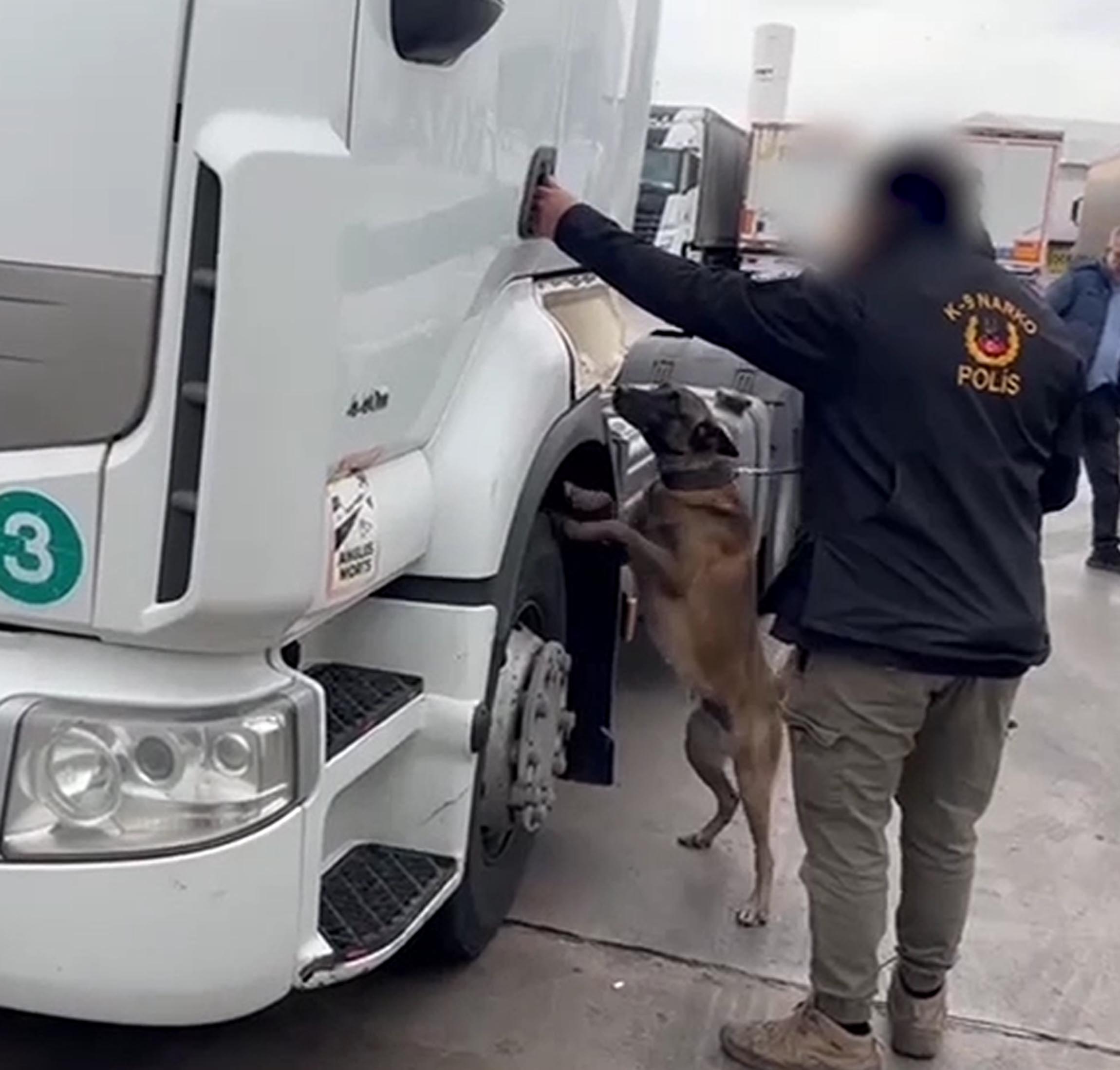 Edirne'de TIR'da 53 Kilo Skunk Yakalandı; İki Kişi Gözaltında
