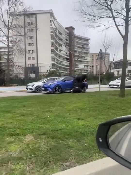 Pendik'te Trafik Tartışması Kanlı Bitti: İki Kadın Saç Saça Kavga Etti