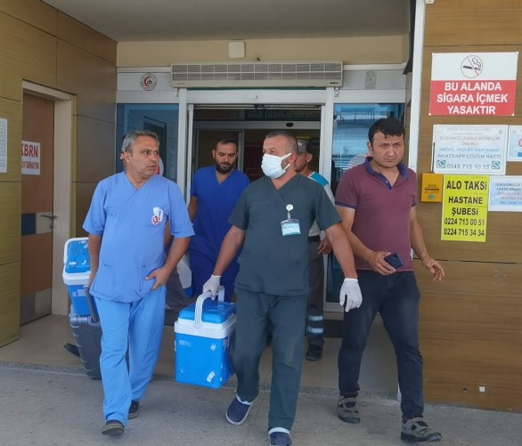 Beyin Ölümü Gerçekleşen Hastanın Organları, Dört Hastaya Umut Sağladı