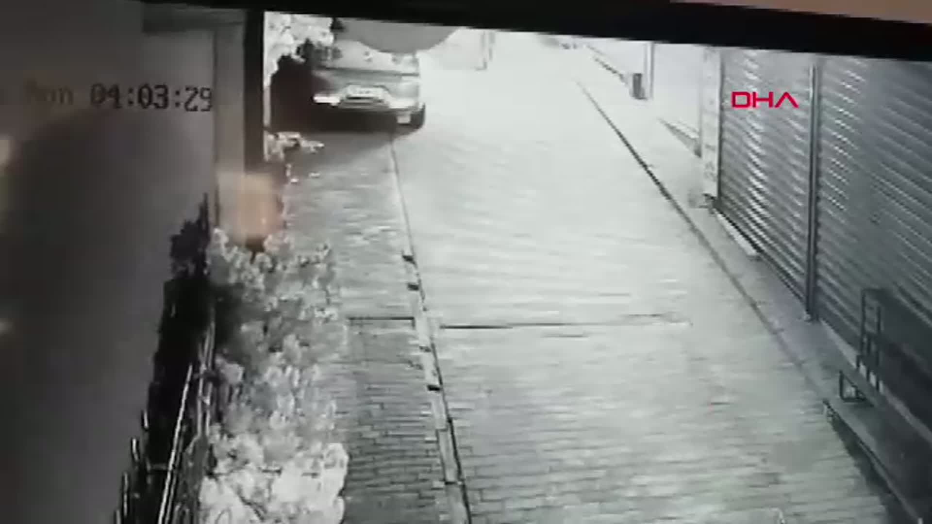 Bursa'da Hırsızlık Olayı: Camı Açamayınca Süs Ağacını Çaldı