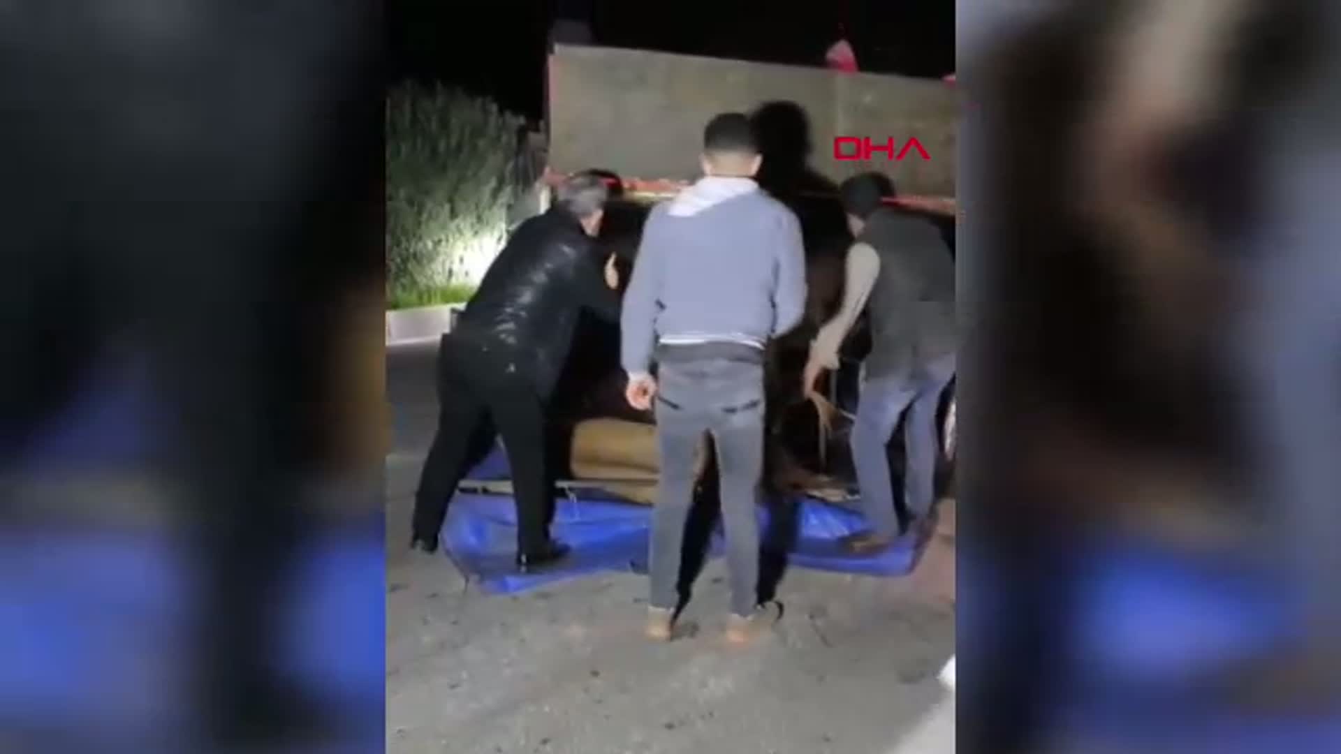 Adana'da Kamyonet Devrildi, Eşekler Yaralandı
