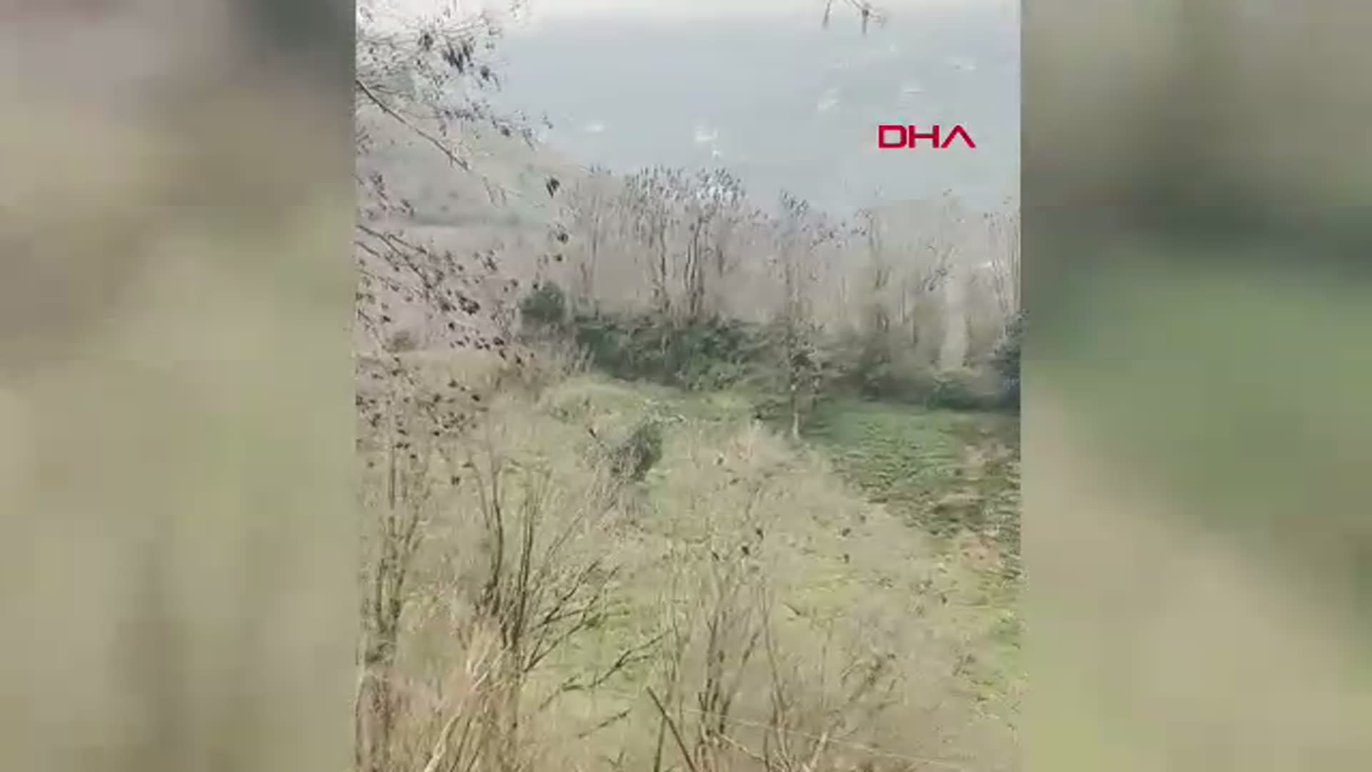 Rize'de Havada Dans Eden Şahinler Kameralara Yansıdı