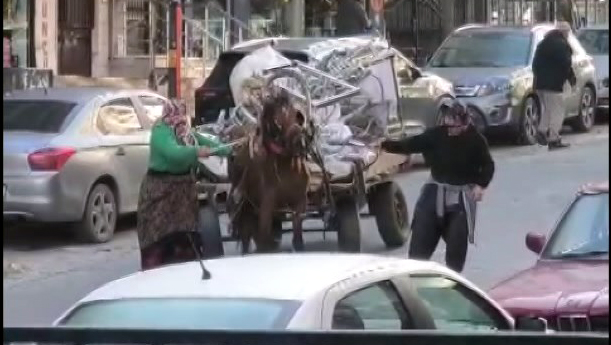 Avcılar'da Atın Şiddete Uğraması Kameralara Yansıdı